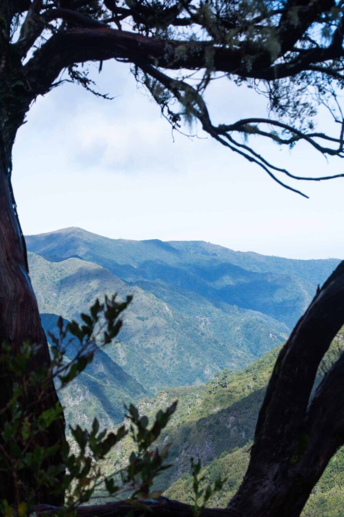 PR6 Verada das 25 Fontes