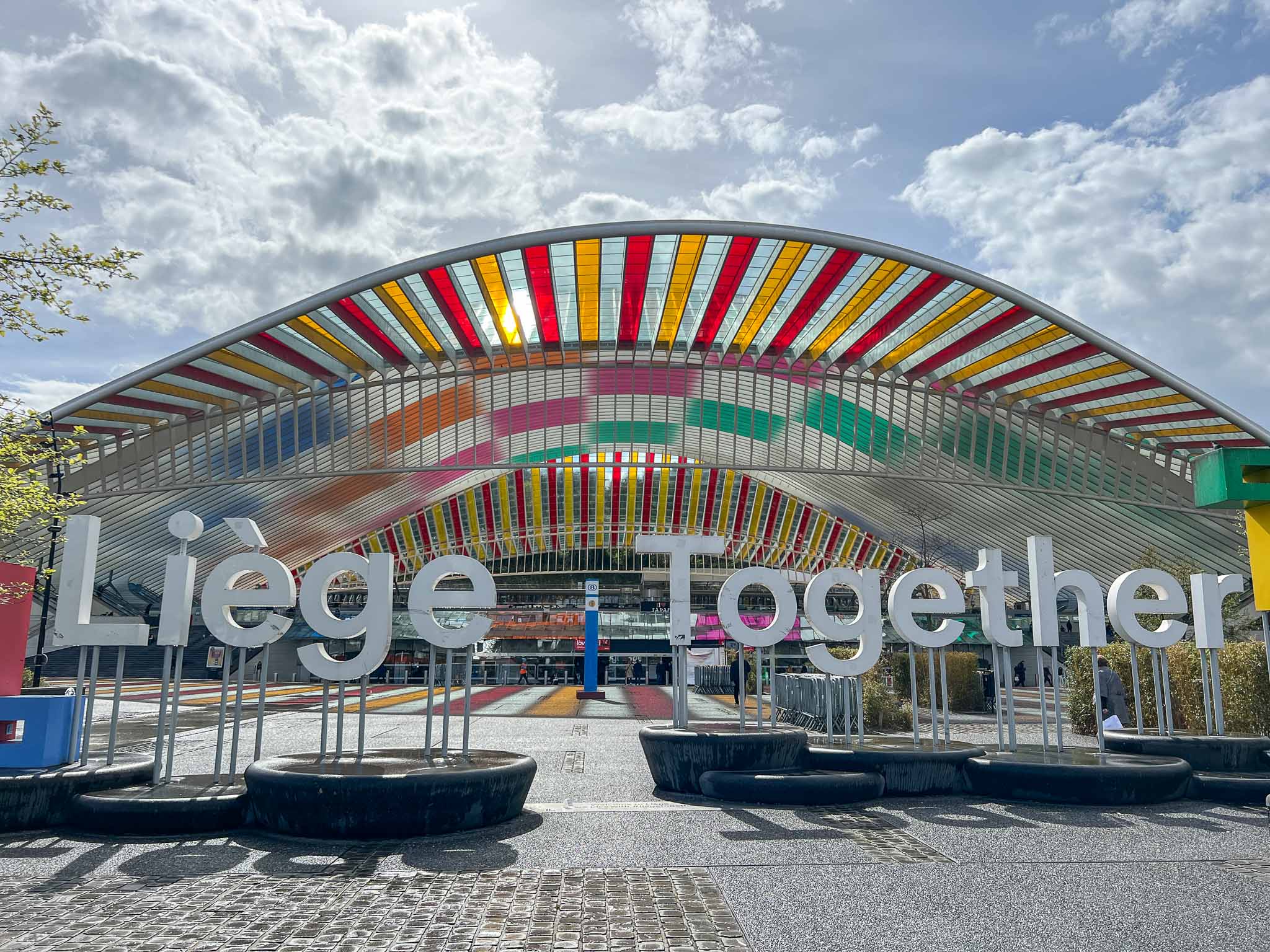 Het station van Luik, station Guillemins