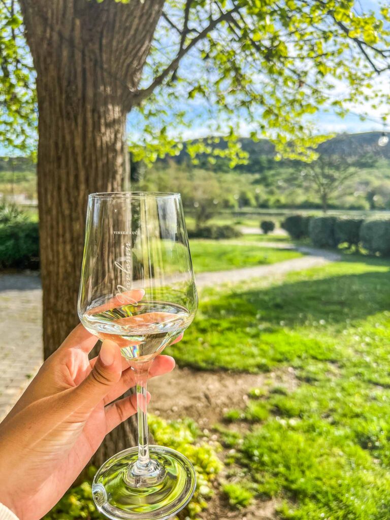 Wijn proeven Novi Vinodolski