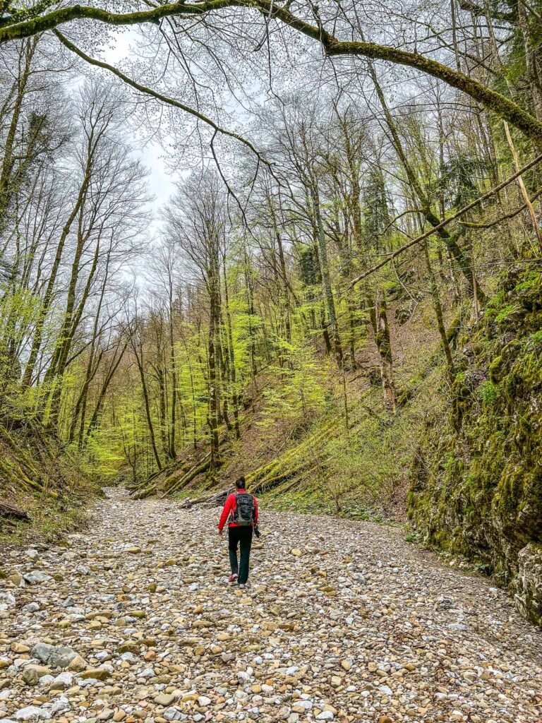 Risnjak National Park Rivier Kupa