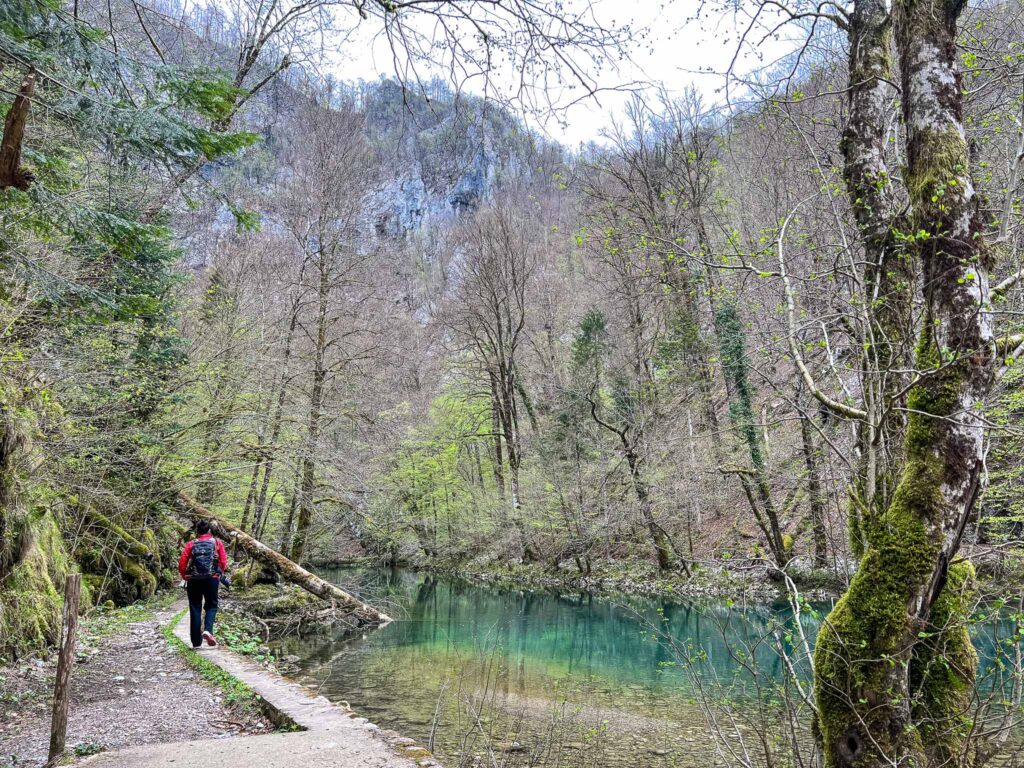 Risnjak National Park Rivier Kupa