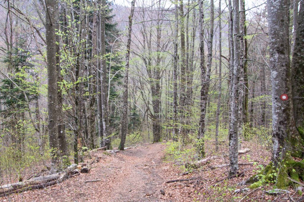 Risnjak National Park 