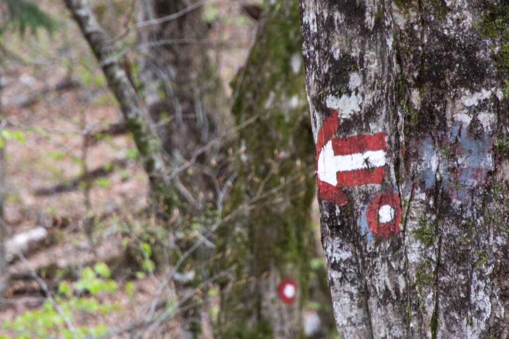 Risnjak National Park