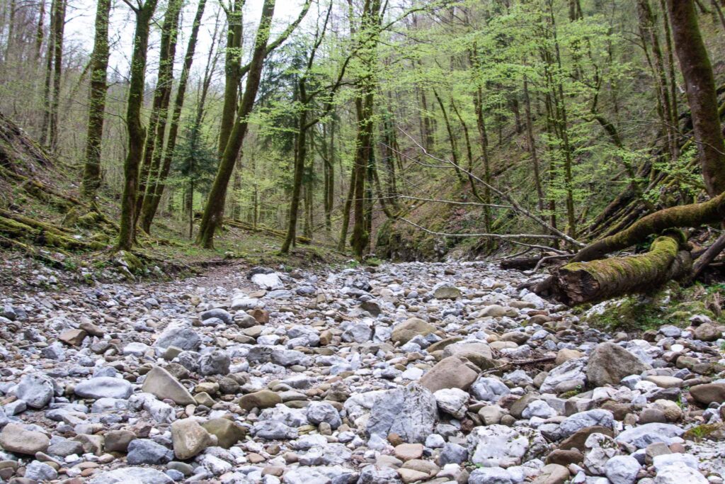 Risnjak National Park Rivier Kupa