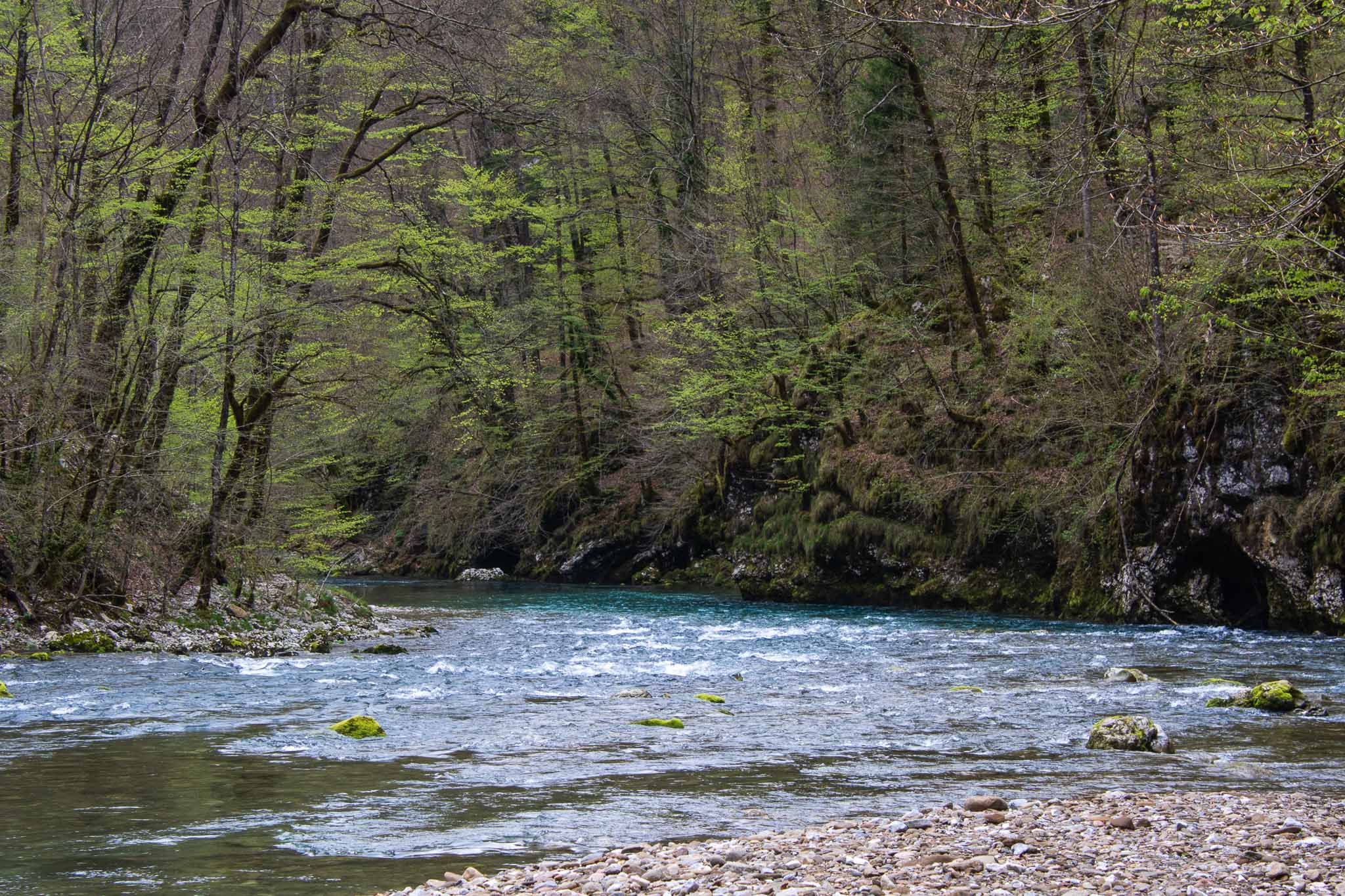Risnjak National Park Rivier Kupa