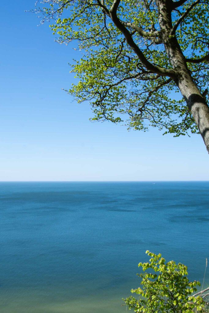 Wolin Nationaal Park in West Pommeren