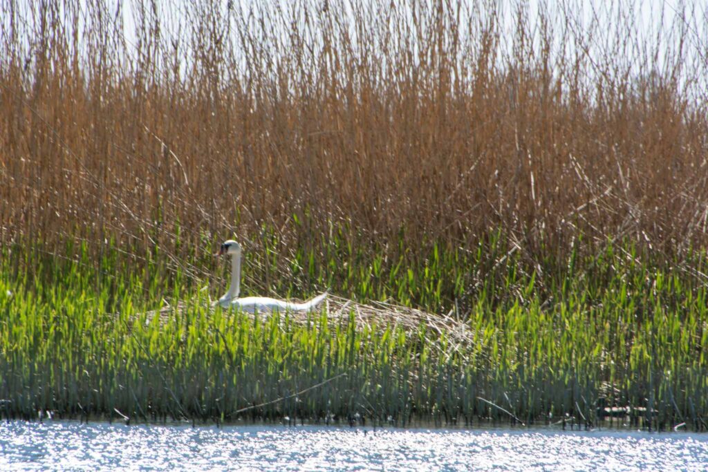 boottocht West Pommeren