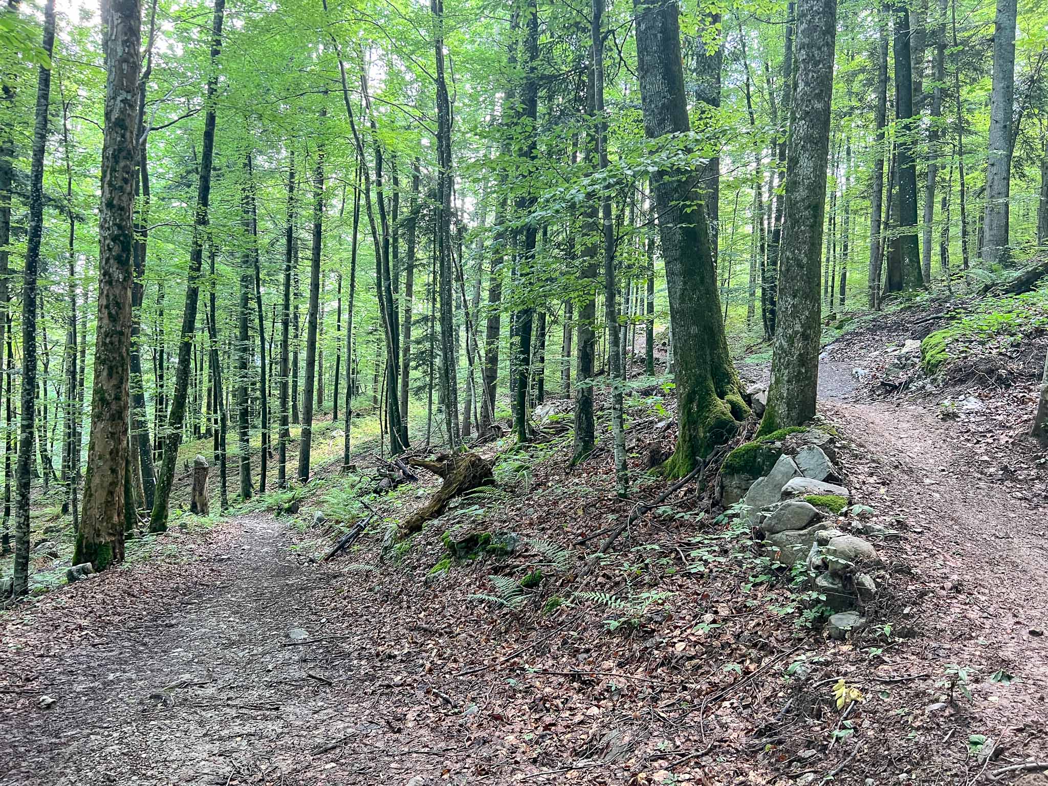 Fietsen in Kočevsko