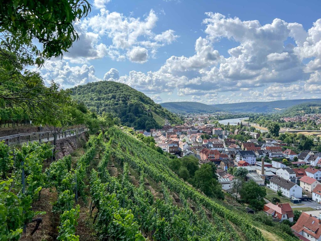 Churfranken rotwein wanderweg