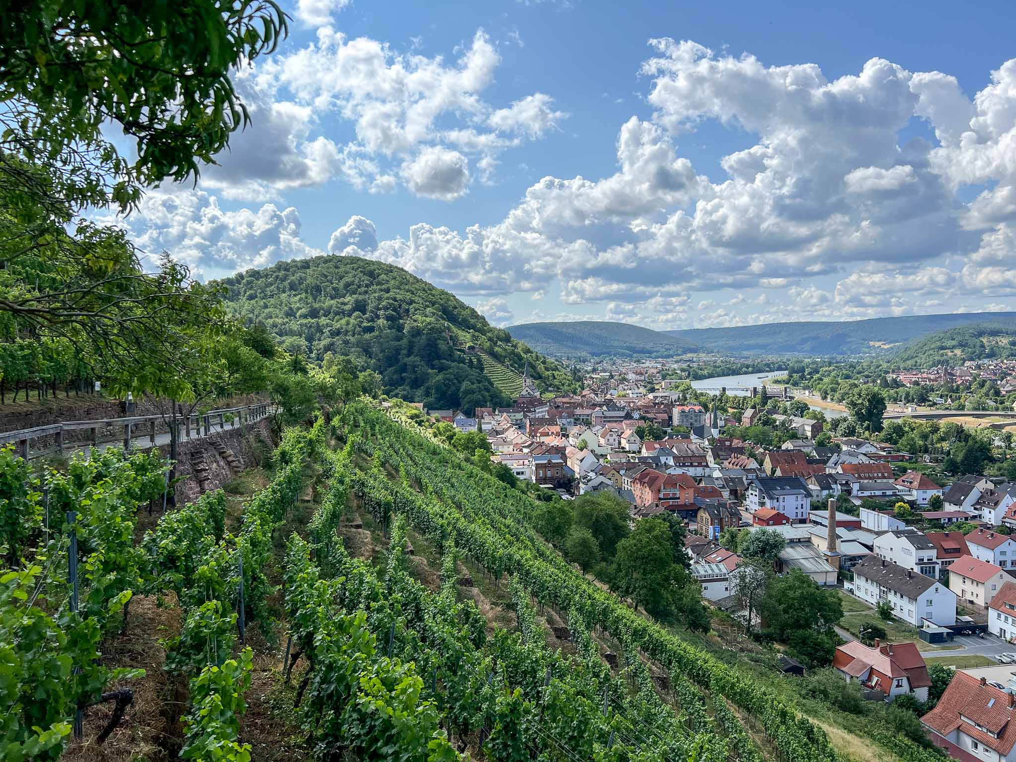 Churfranken rotwein wanderweg
