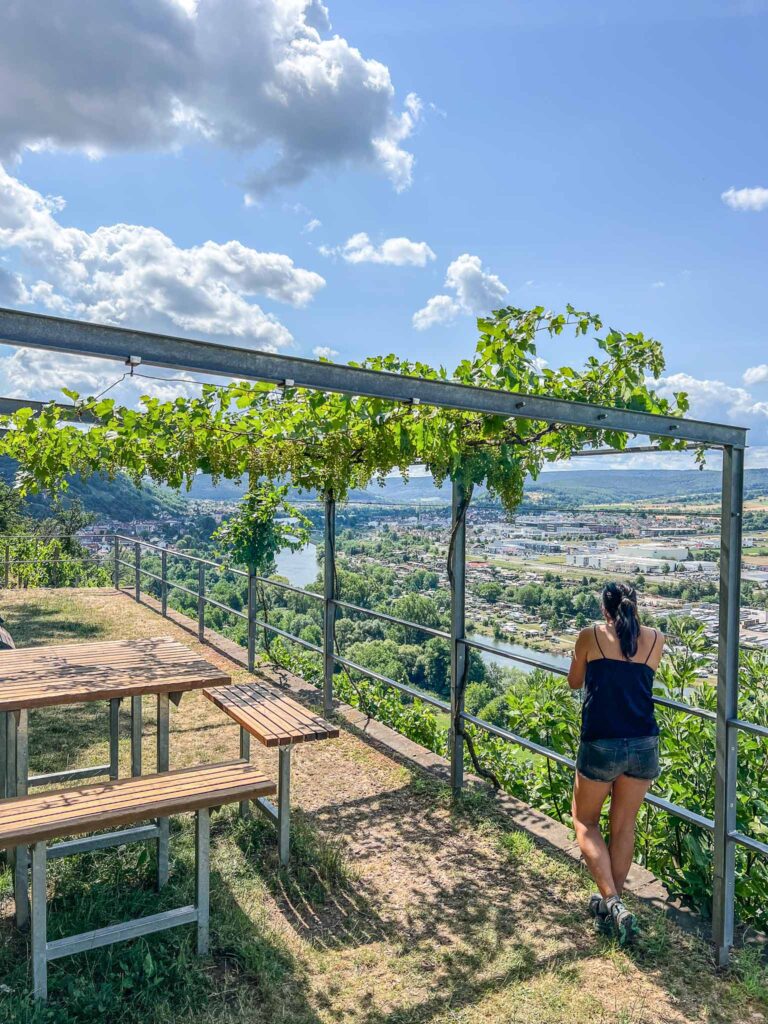 Churfranken rotwein wanderweg
