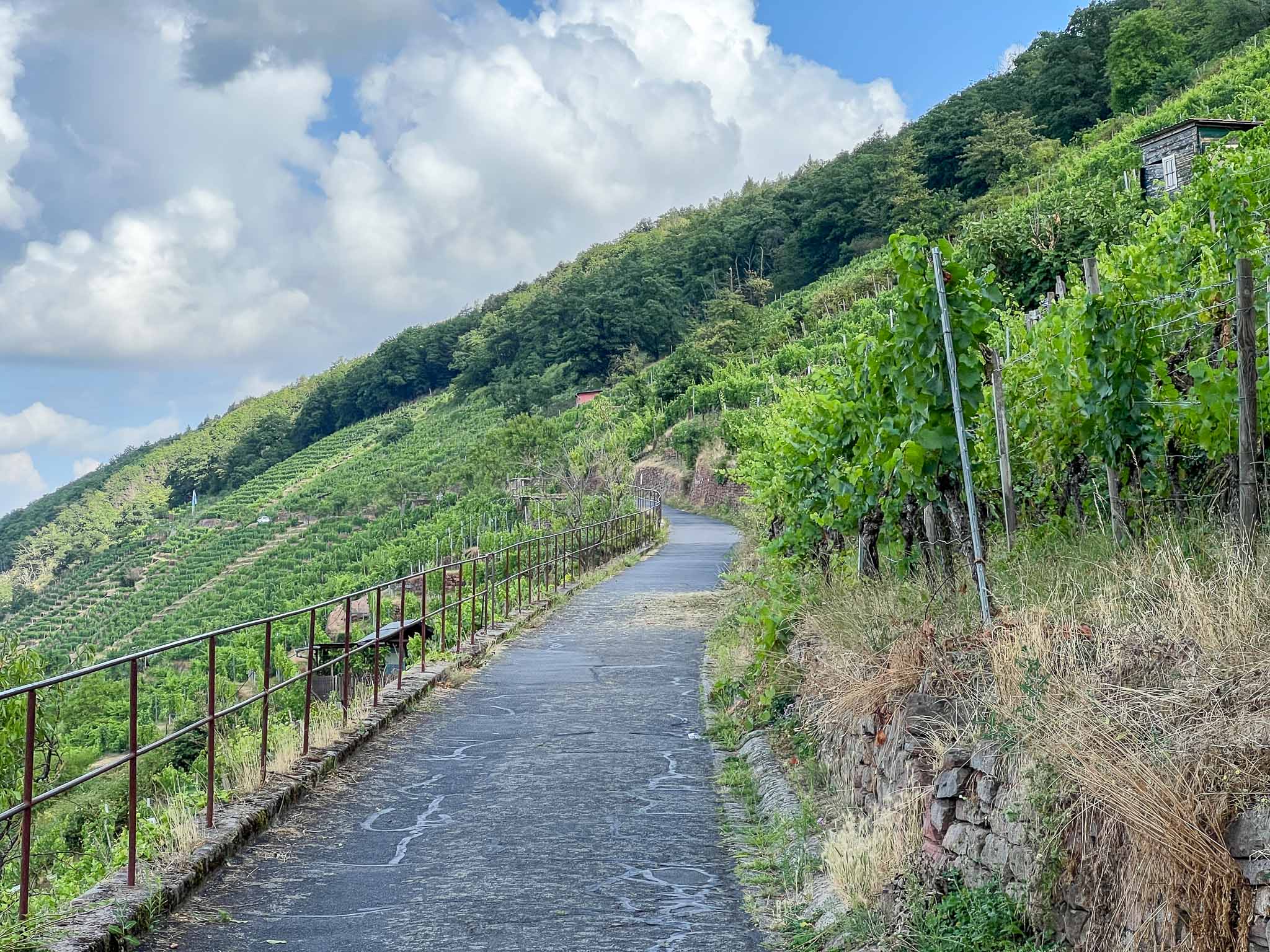 Churfranken rotwein wanderweg