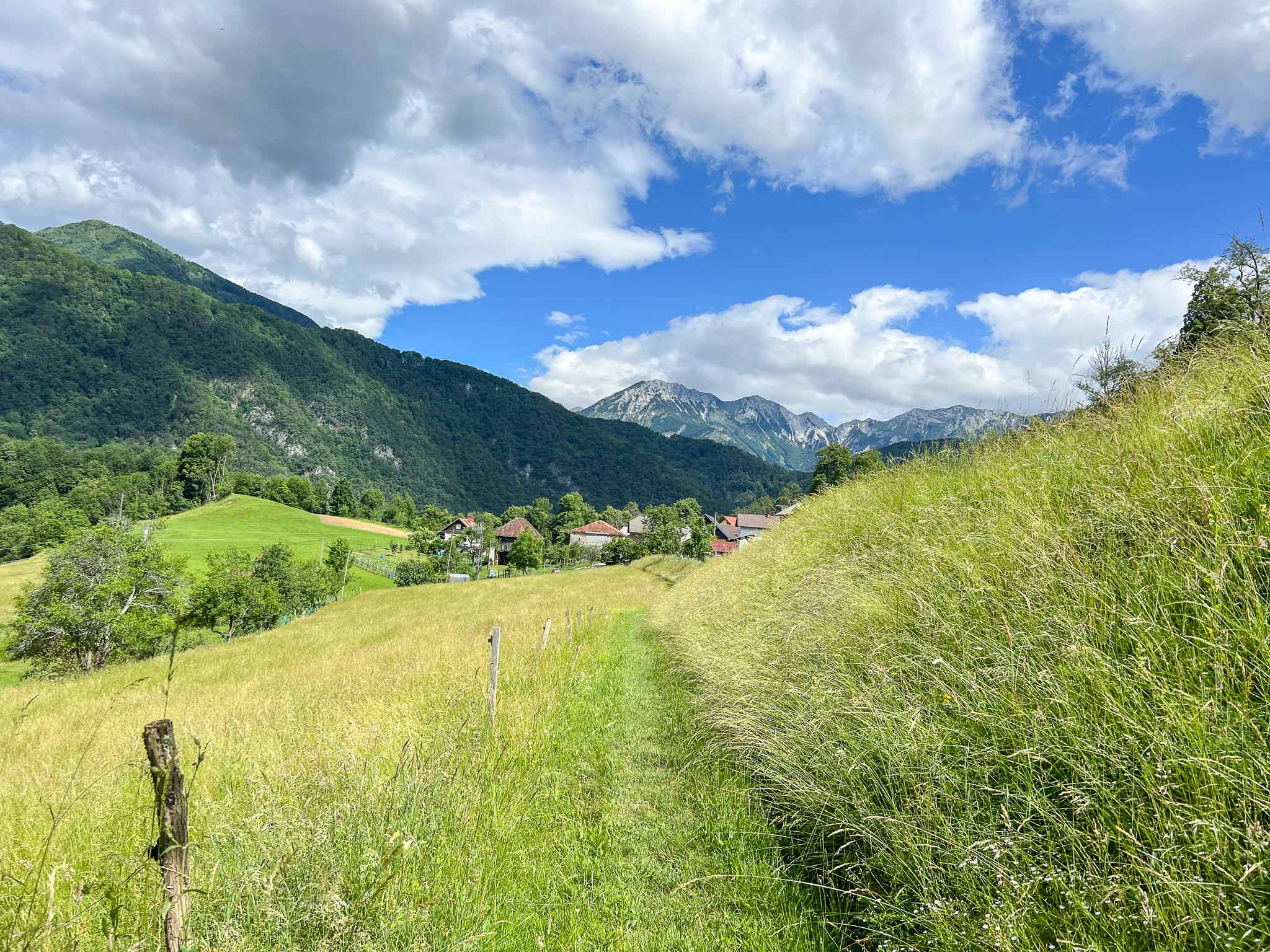 Juliana Trail