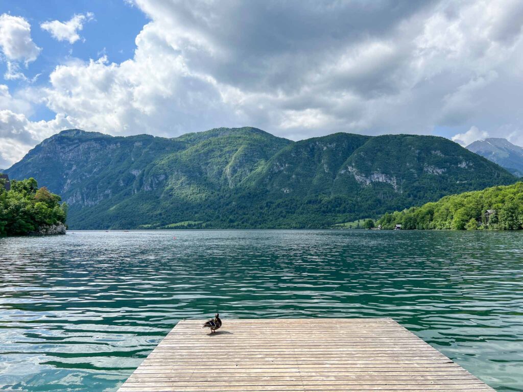 Lake Bohinj