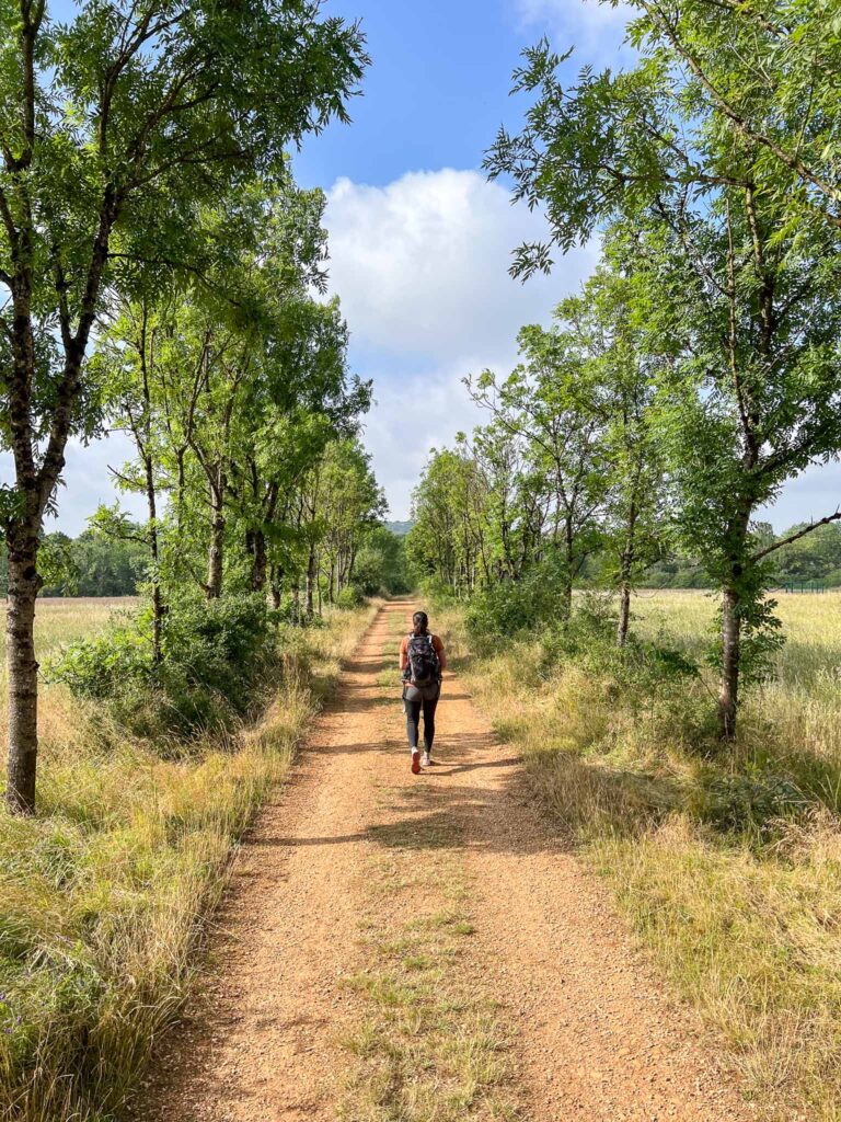 Haard reserve in de Minett regio