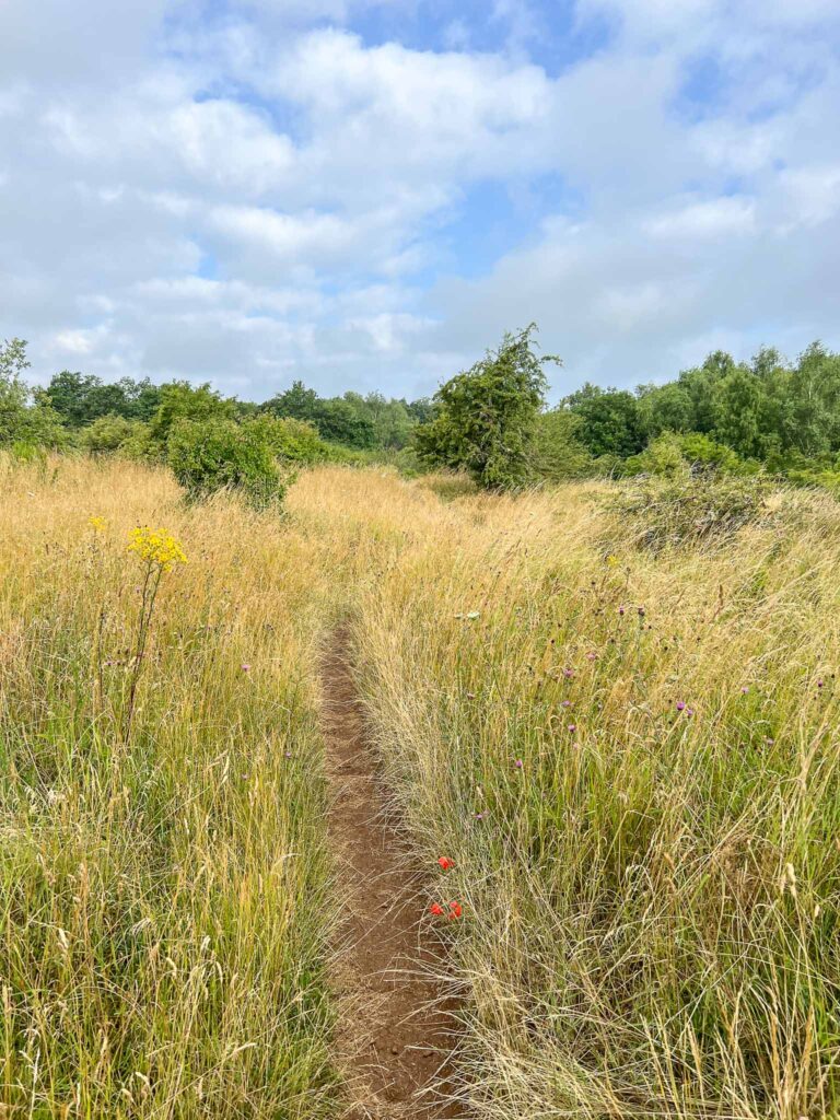 Haard reserve in de Minett regio