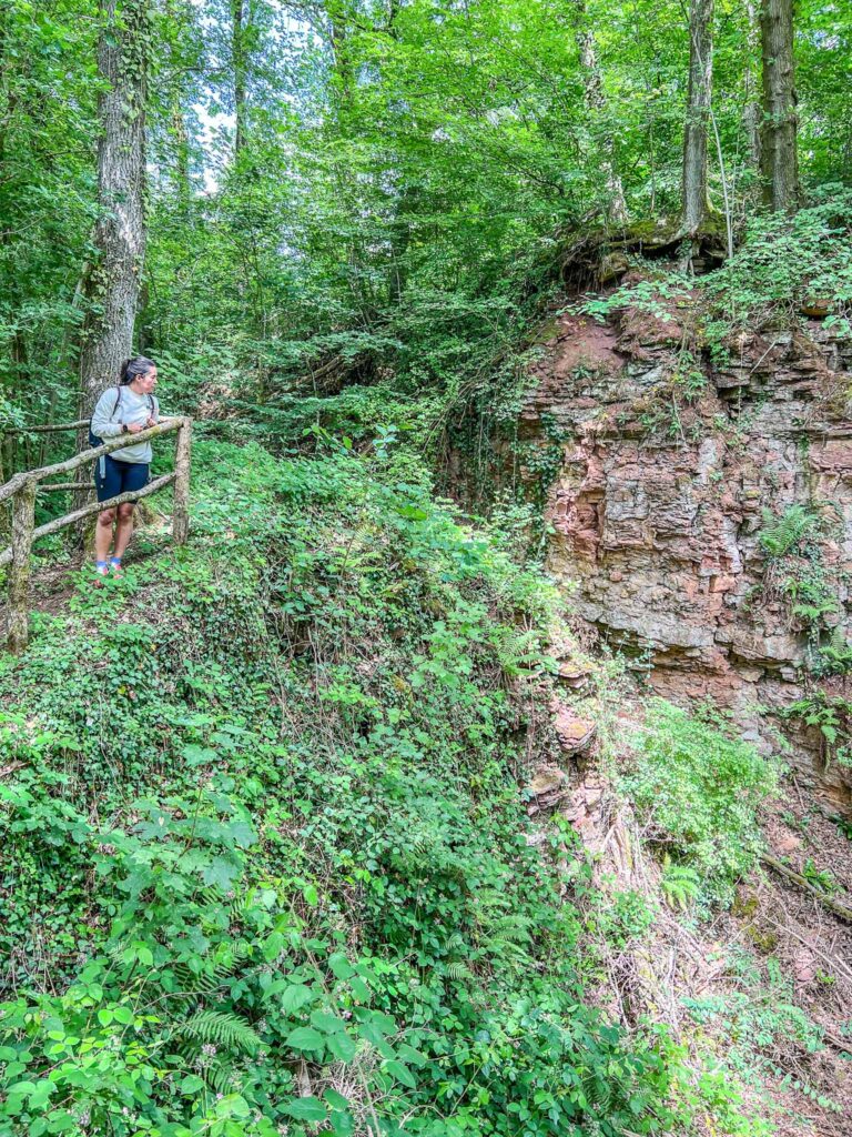 Ellegron in de Minett regio