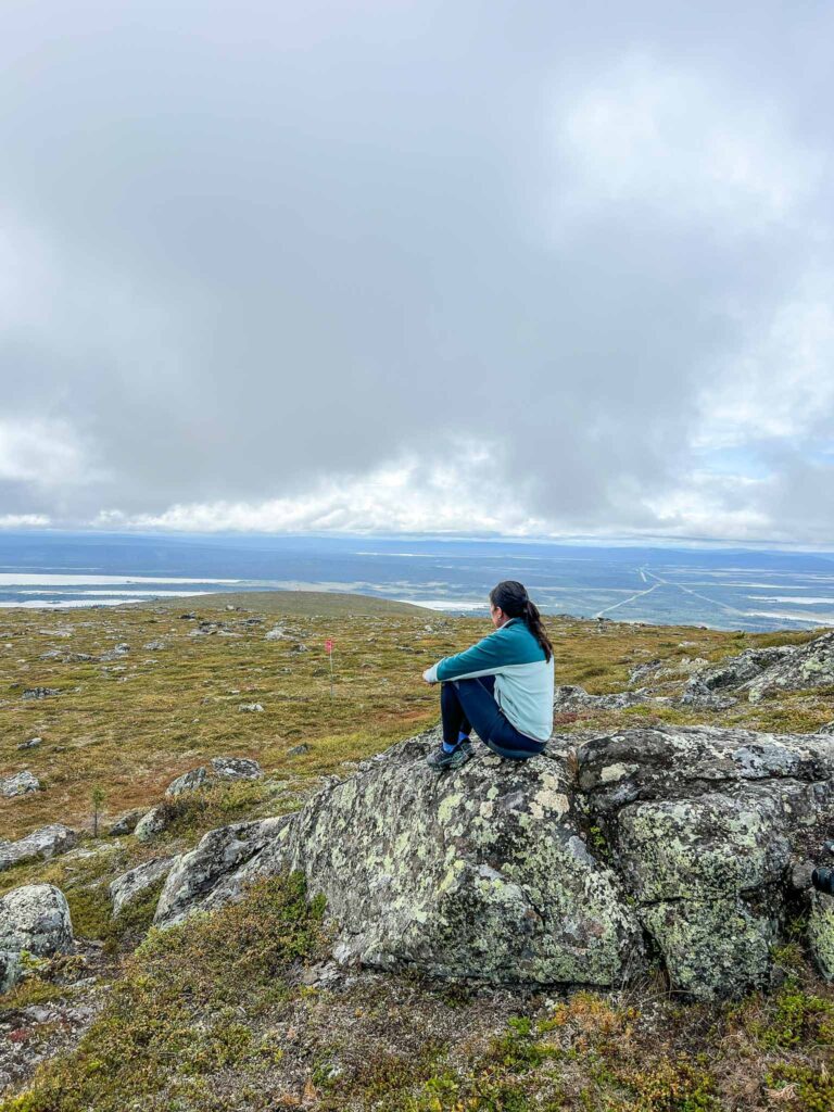 Dundret Nature Reserve in Zweeds Lapland
