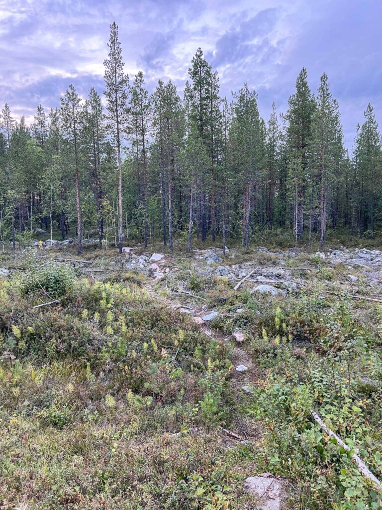 Overnachten in Jokkmokk