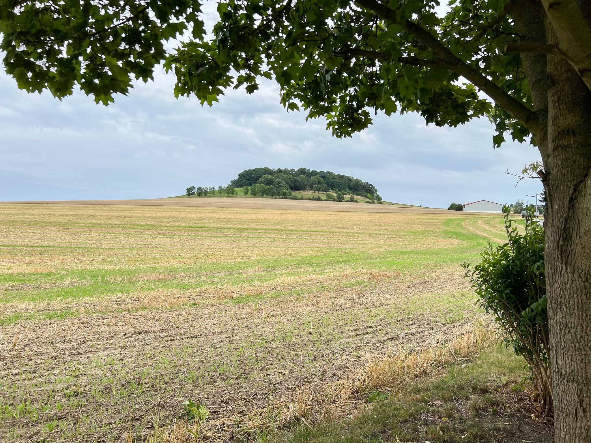 Oberlausitzer Bergweg 