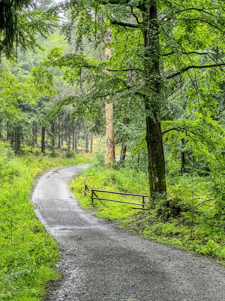 Oberlausitzer Bergweg  etappe 5