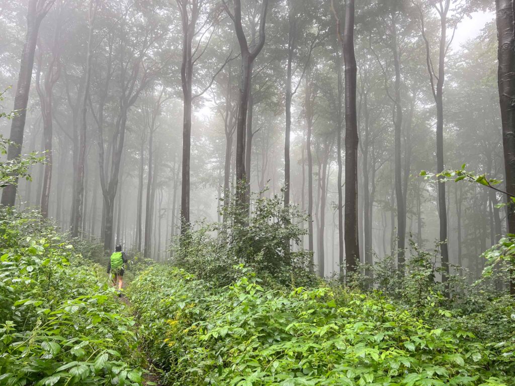 Oberlausitzer Bergweg  etappe 5