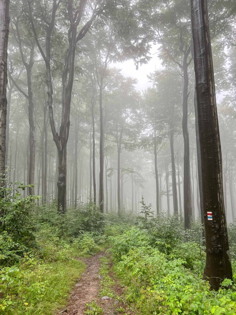 Oberlausitzer Bergweg  etappe 5