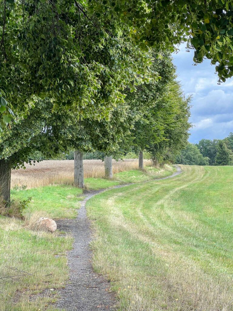 Oberlausitzer Bergweg  etappe 6