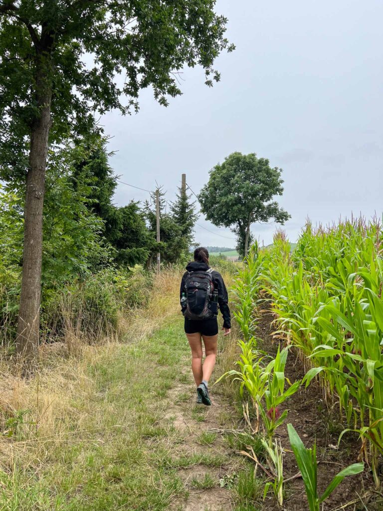 Oberlausitzer Bergweg  etappe 4