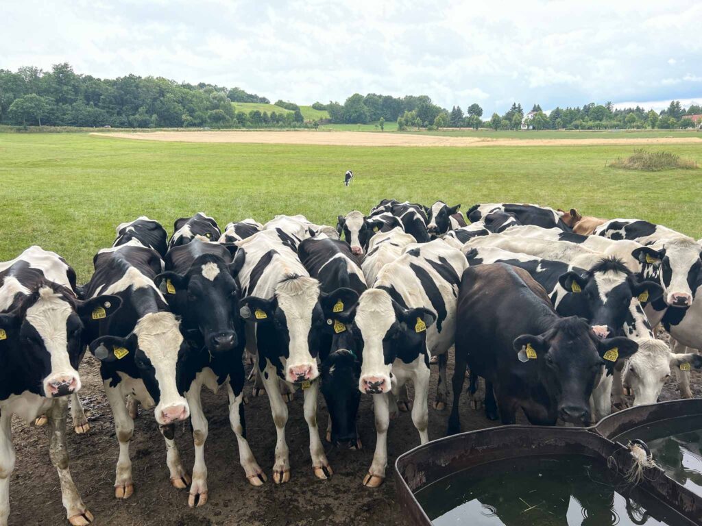 Oberlausitzer Bergweg etappe 4