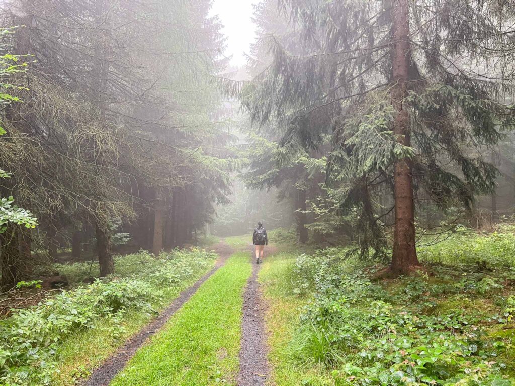 Oberlausitzer Bergweg  