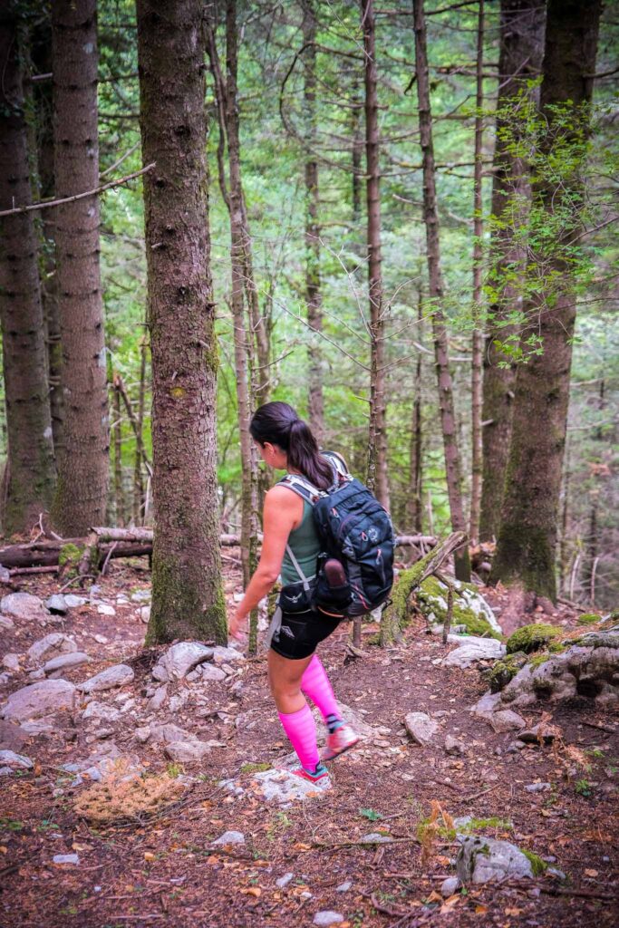 Rema Mark Waterfalls in Tzoumerka