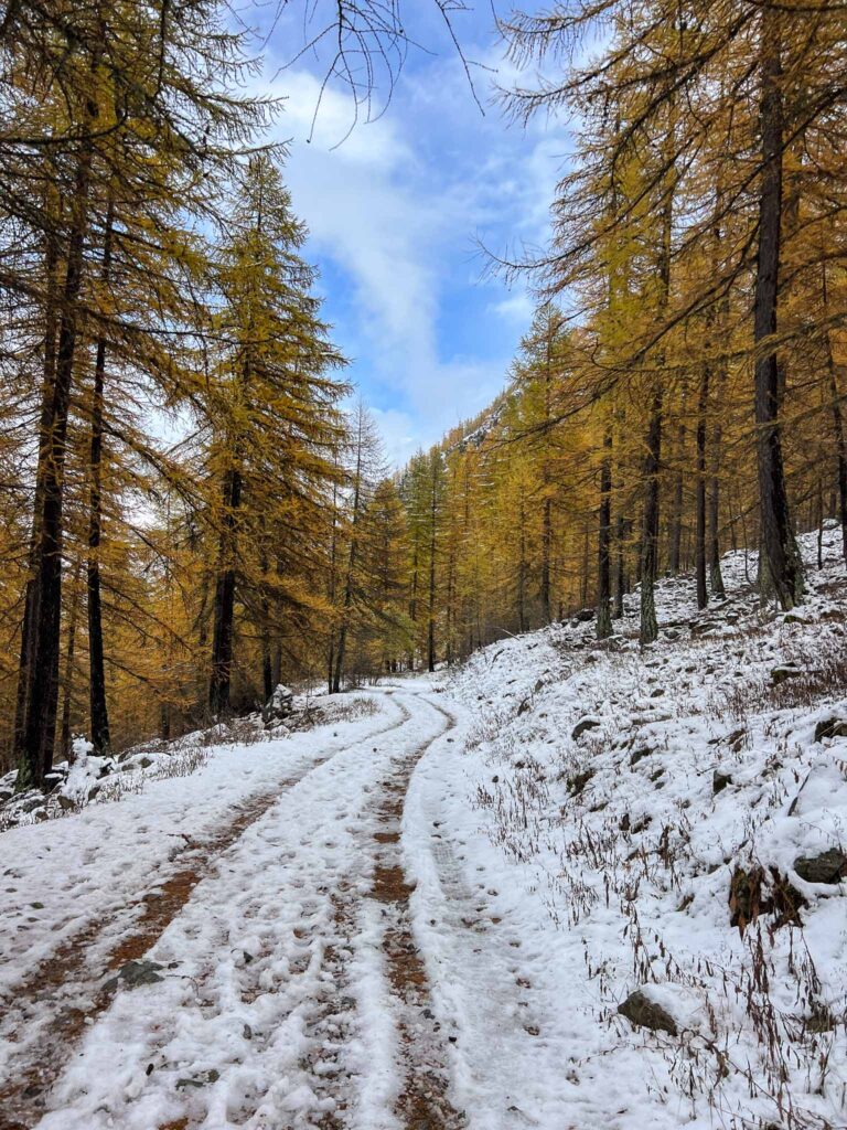 Herfst in Serre Chevalier