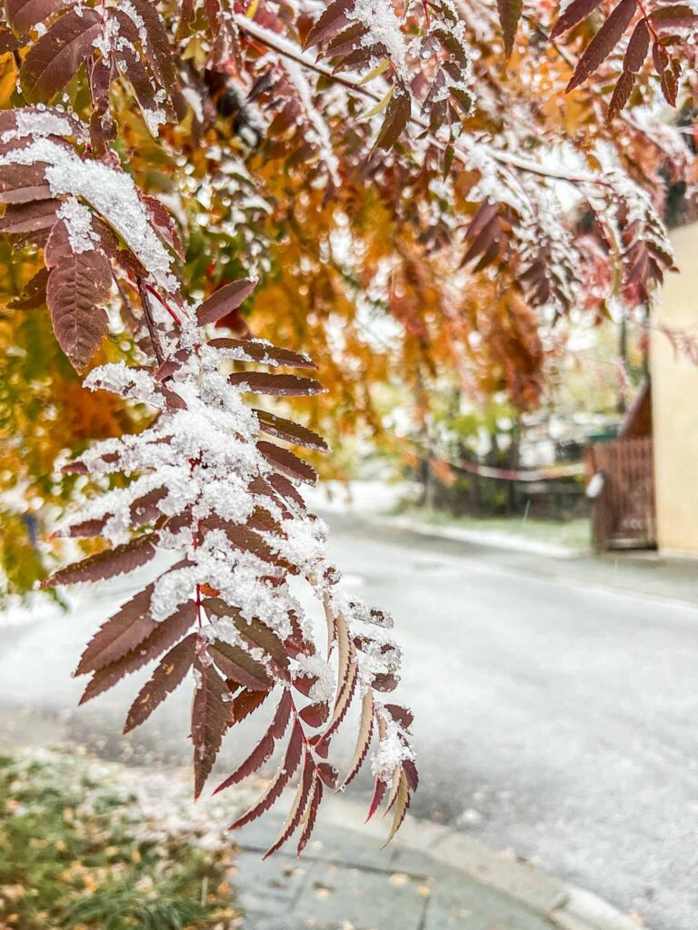 Herfst in Serre Chevalier