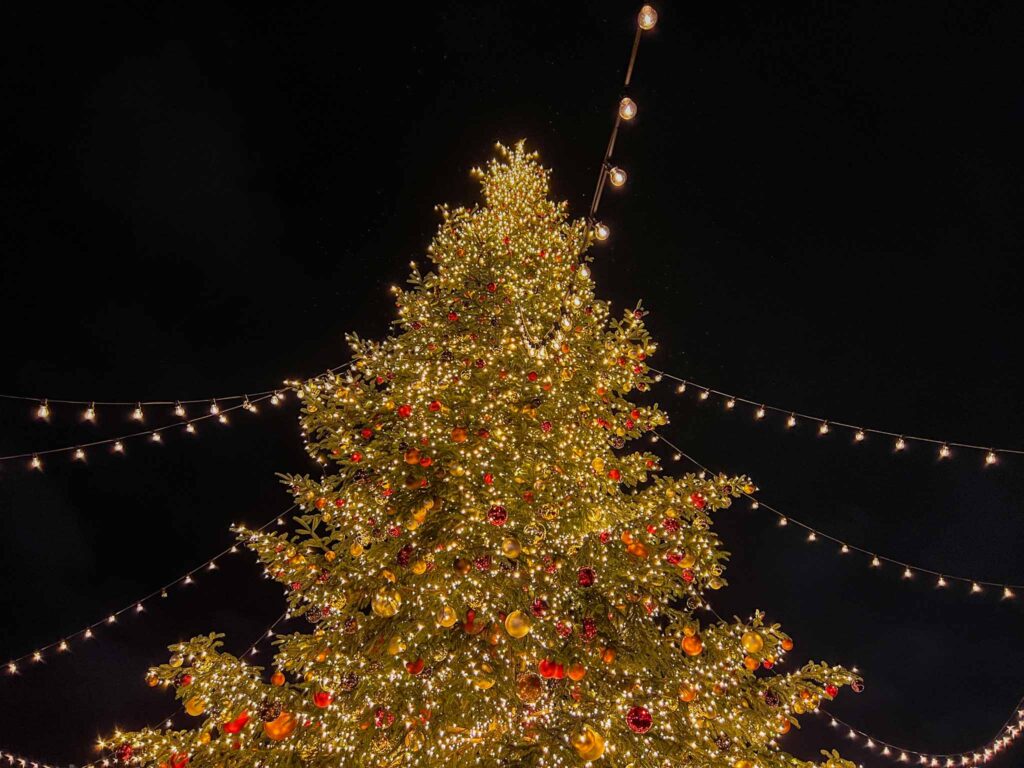 Kerstmarkten in Zurich