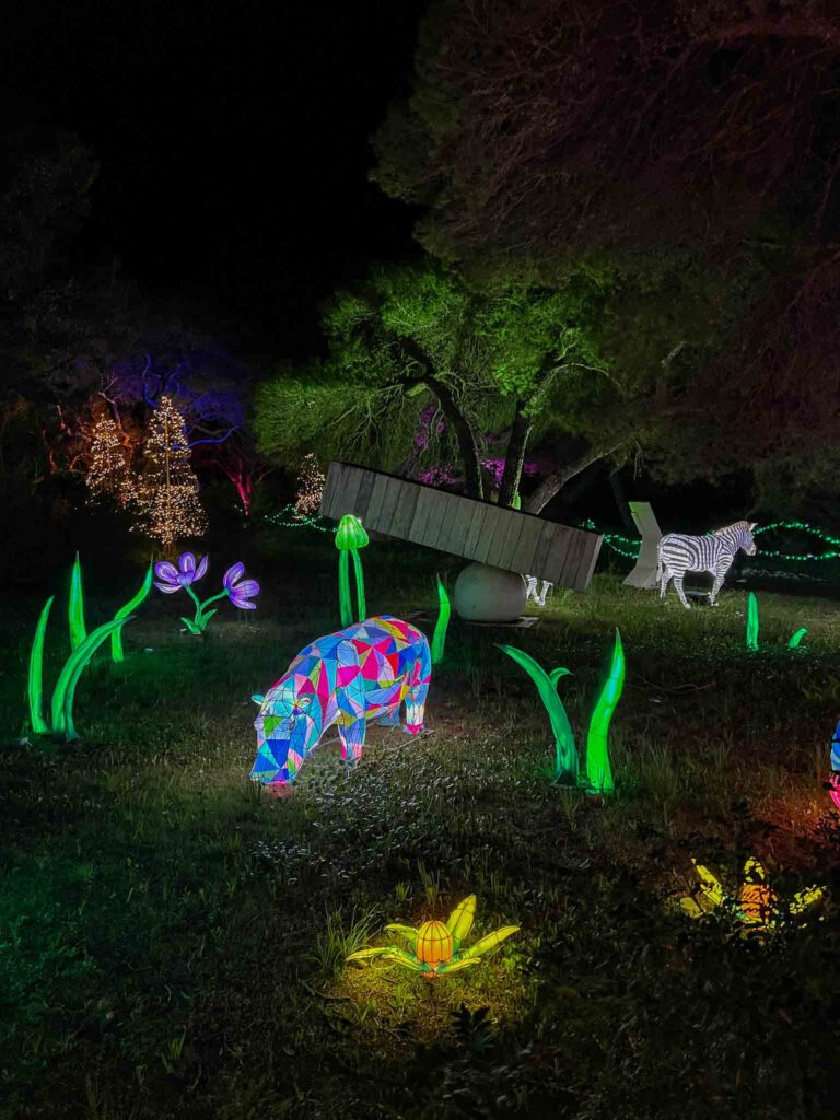 Magic Illuminated Trail Malta