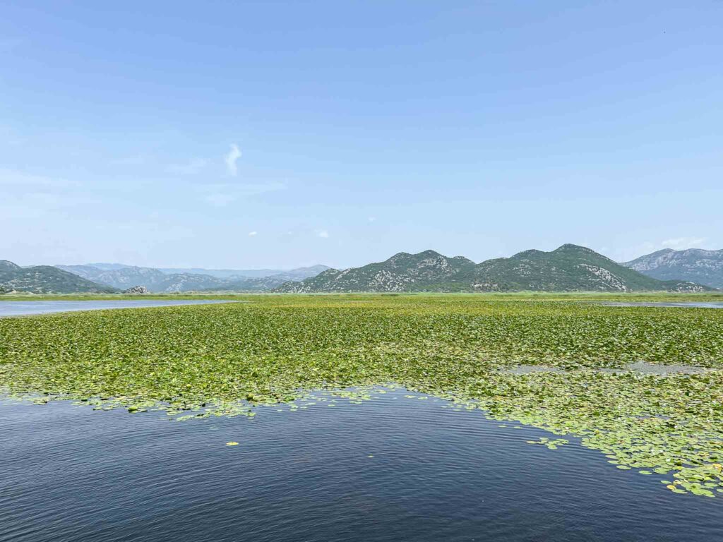 Lake Skadar National Park