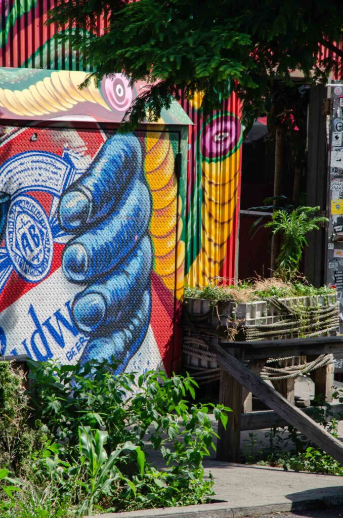 Bushwick in Brooklyn