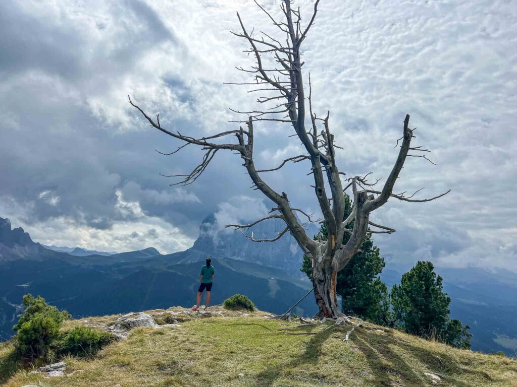 Wandelen in de Dolomieten