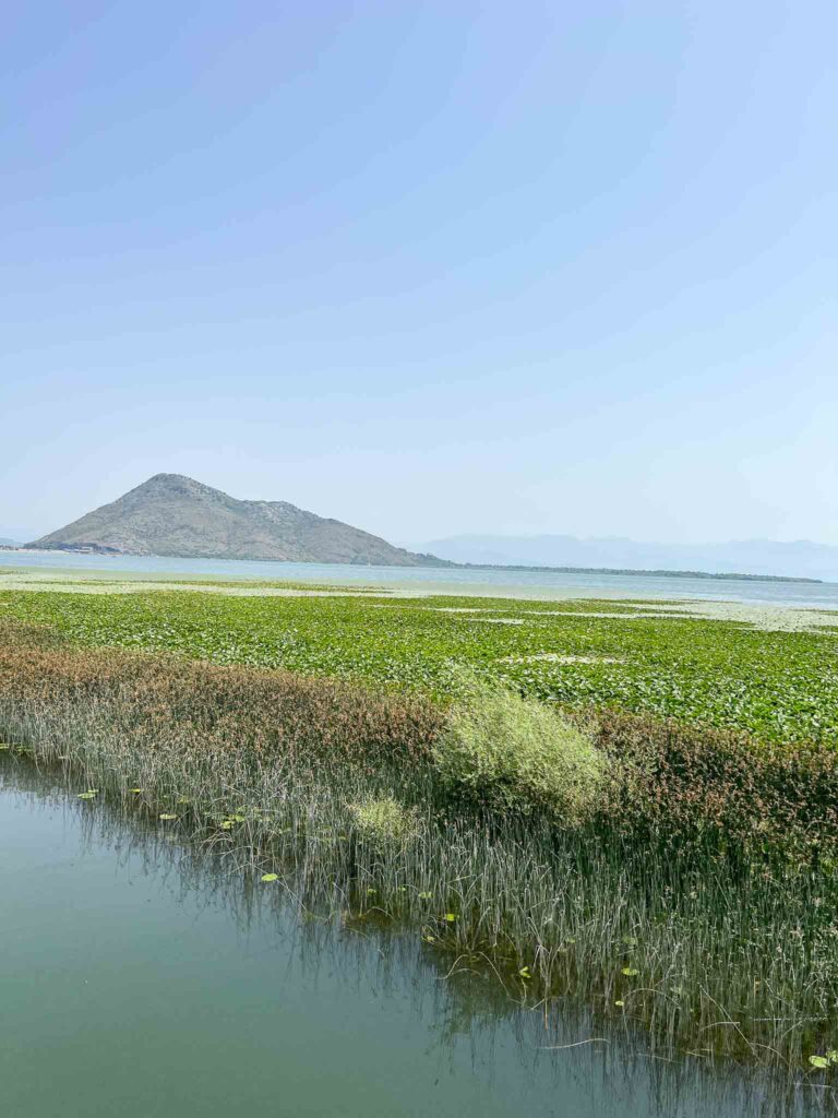 lake Skadar National Park in Montenegro