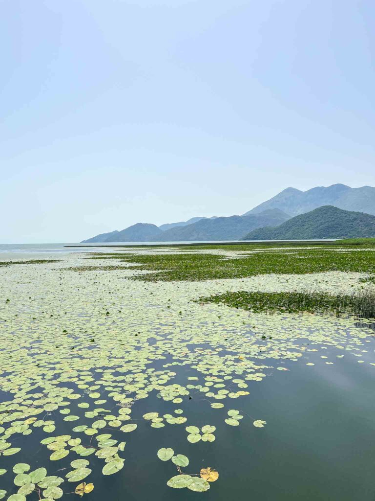 lake Skadar National Park in Montenegro