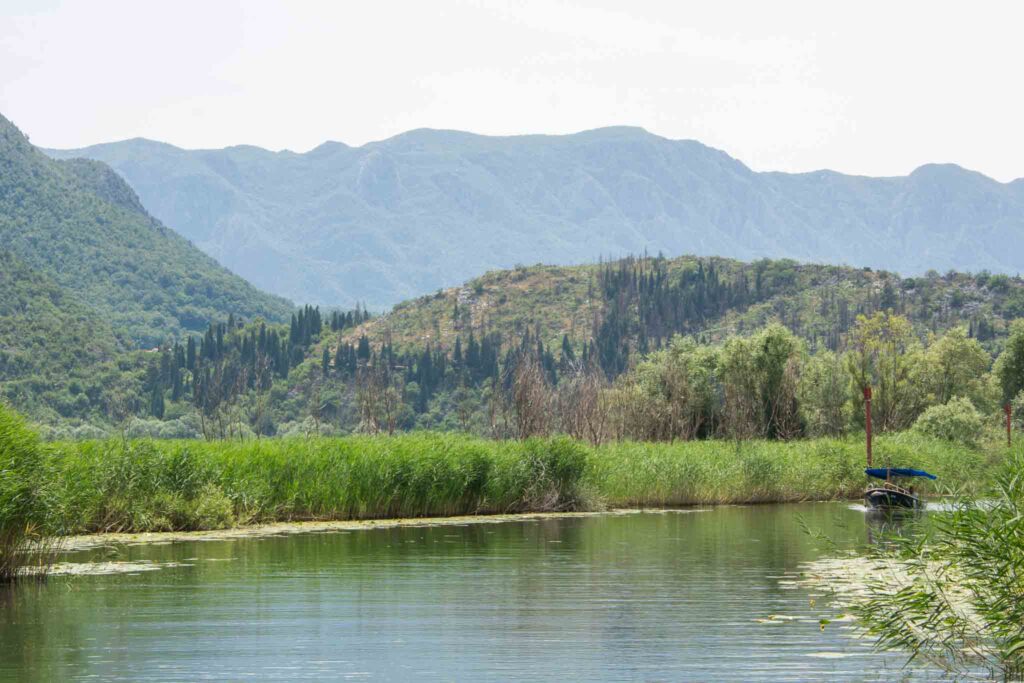 Lake Skadar