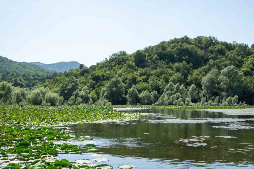 lake Skadar National Park in Montenegro