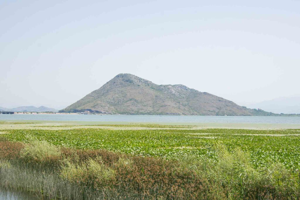 Lake Skadar