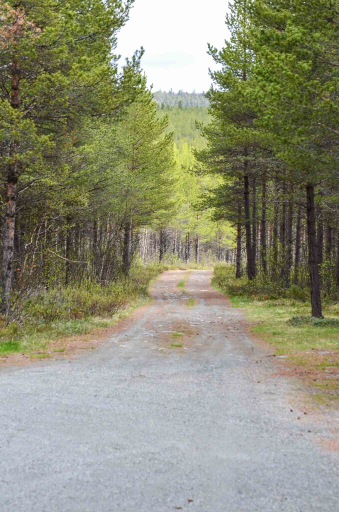 Roadtrip Scandinavië