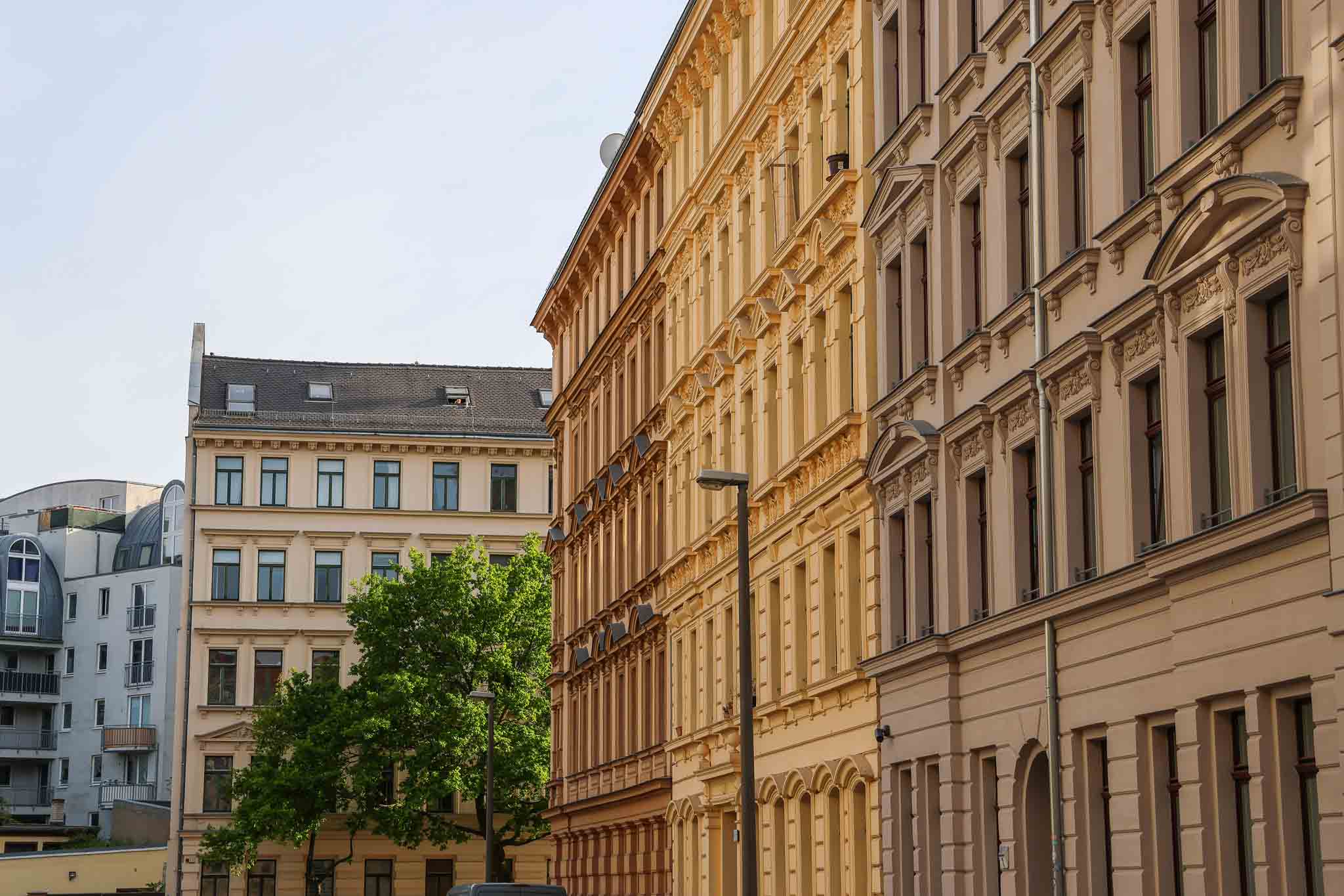 Neustadt Neuschonefeld