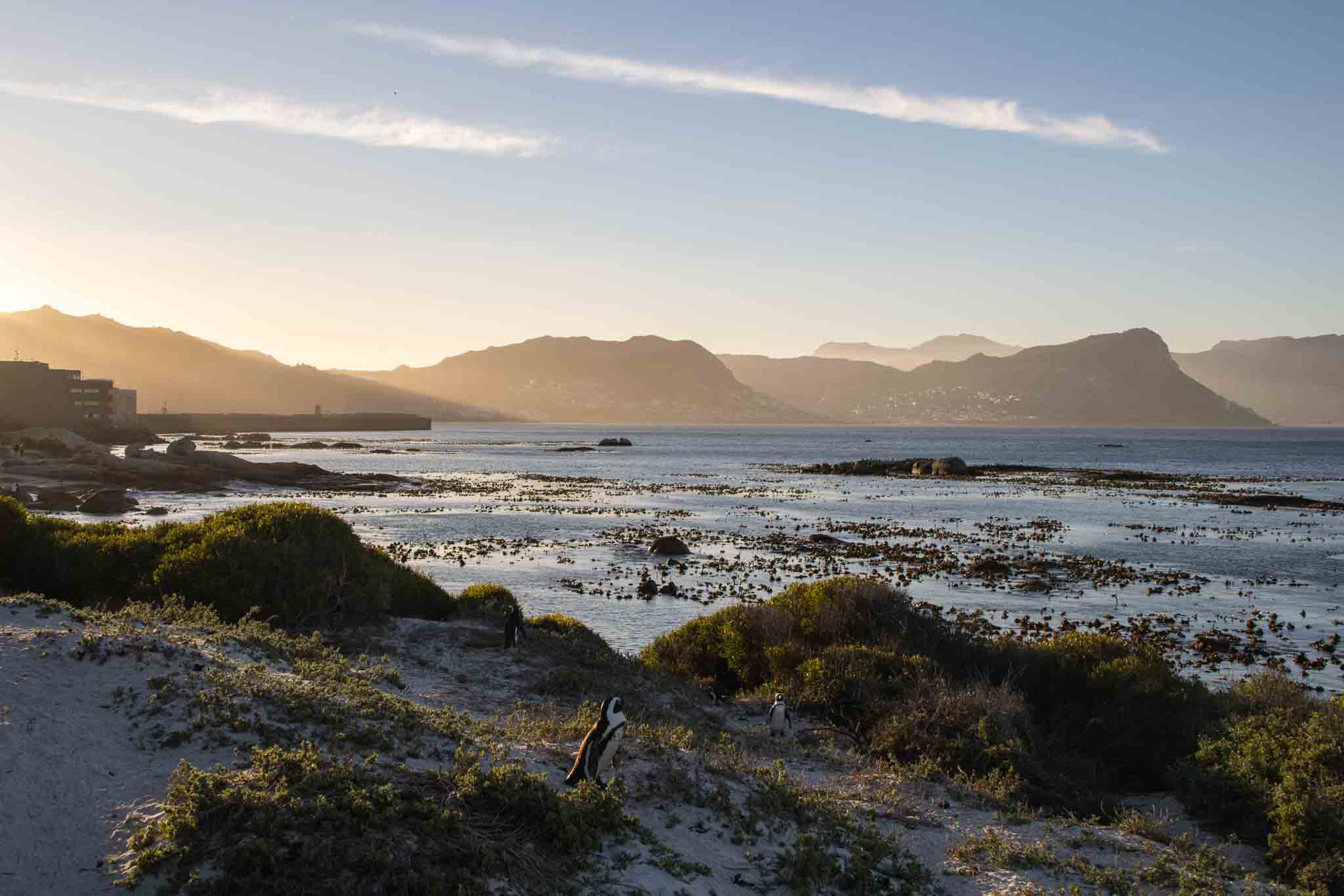 Boulders Beach
