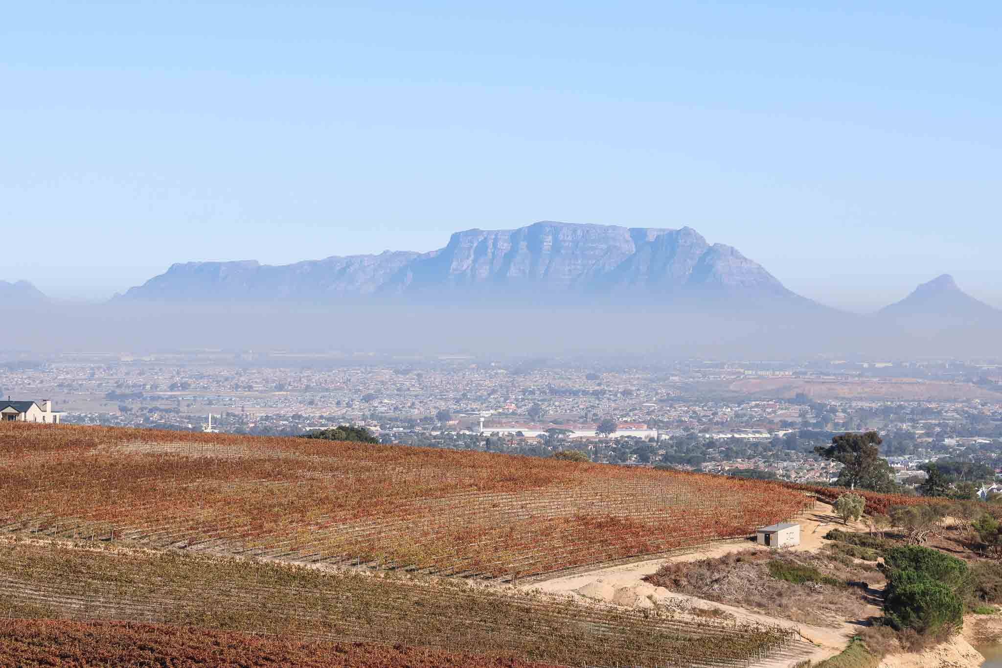 wijngaarden in Stellenbosch