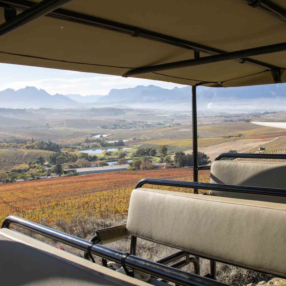 Wijngaarden bezoeken in Stellenbosch