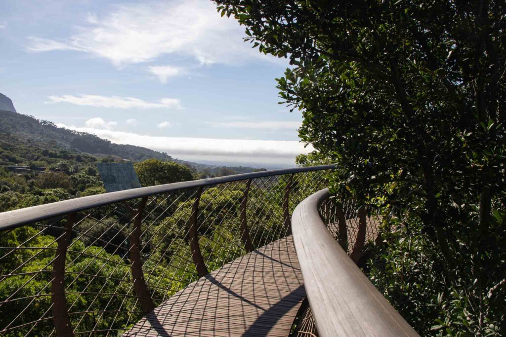 Kirstenbosch Botanical Garden